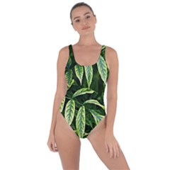 Leaves Foliage Twig Bush Plant Bring Sexy Back Swimsuit by artworkshop