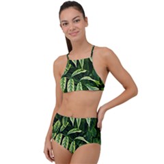 Leaves Foliage Twig Bush Plant High Waist Tankini Set by artworkshop