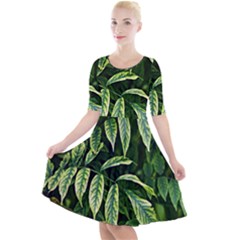 Leaves Foliage Twig Bush Plant Quarter Sleeve A-line Dress