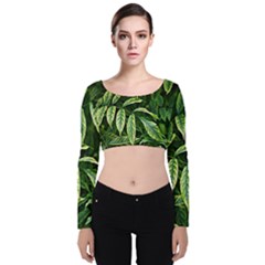 Leaves Foliage Twig Bush Plant Velvet Long Sleeve Crop Top by artworkshop