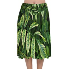 Leaves Foliage Twig Bush Plant Velvet Flared Midi Skirt by artworkshop