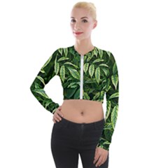 Leaves Foliage Twig Bush Plant Long Sleeve Cropped Velvet Jacket by artworkshop