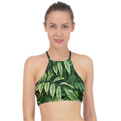 Leaves Foliage Twig Bush Plant Racer Front Bikini Top by artworkshop