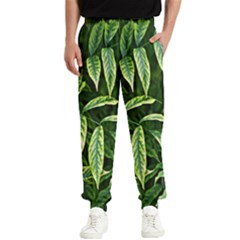 Leaves Foliage Twig Bush Plant Men s Elastic Waist Pants by artworkshop