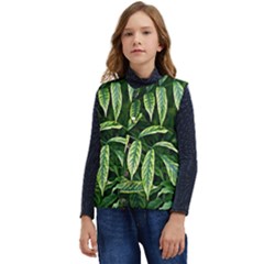 Leaves Foliage Twig Bush Plant Kid s Short Button Up Puffer Vest	 by artworkshop