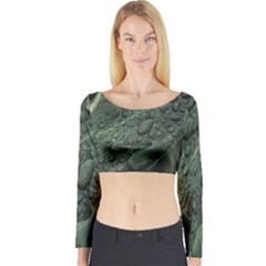 Leaves Water Drops Green  Long Sleeve Crop Top by artworkshop