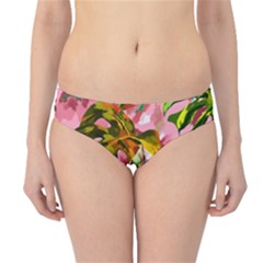 Illustration Paintimg Paint Monstera Leave Leaf Plant Green Hipster Bikini Bottoms by Wegoenart