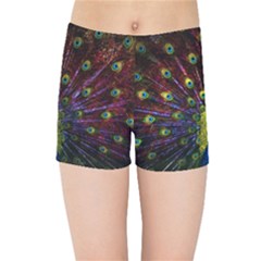 Beautiful Peacock Feather Kids  Sports Shorts