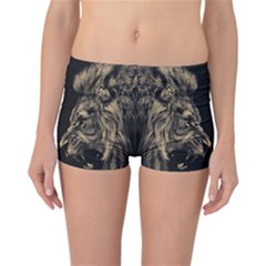 Animalsangry Male Lions Conflict Reversible Boyleg Bikini Bottoms by Jancukart