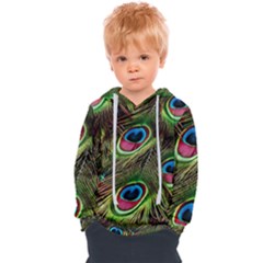 Peacock Feathers Color Plumage Kids  Overhead Hoodie by Celenk