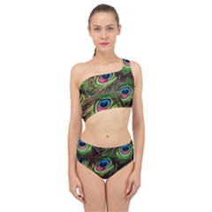 Peacock Feathers Color Plumage Spliced Up Two Piece Swimsuit