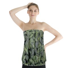 Leaves Foliage Botany Plant Strapless Top