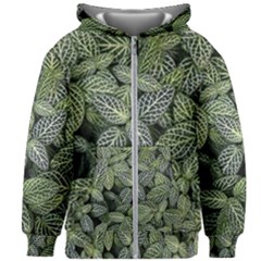 Leaves Foliage Botany Plant Kids  Zipper Hoodie Without Drawstring