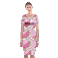 Pink Melon Wayermelon Pattern Food Fruit Melon Classic Short Sleeve Midi Dress