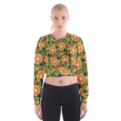 Fruits Star Blueberry Cherry Leaf Cropped Sweatshirt