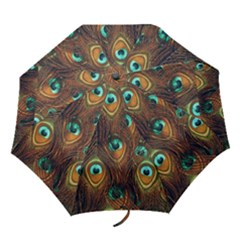 Peacock Feathers Folding Umbrellas