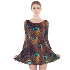 Peacock Feathers Long Sleeve Velvet Skater Dress