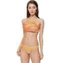 Orange Leaf Texture Pattern Banded Triangle Bikini Set View1