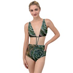 Green Orchid Plant Pattern Tied Up Two Piece Swimsuit by Ravend