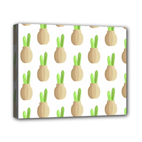 Succulent Vases  Canvas 10  X 8  (stretched) by ConteMonfrey