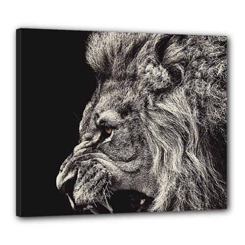 Angry Male Lion Canvas 24  X 20  (stretched) by Jancukart