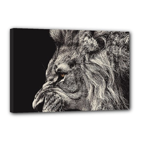 Angry Male Lion Canvas 18  X 12  (stretched) by Jancukart