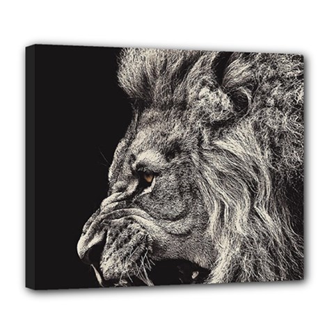 Angry Male Lion Deluxe Canvas 24  X 20  (stretched) by Jancukart