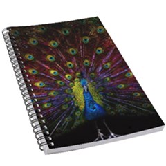 Beautiful Peacock Feather 5 5  X 8 5  Notebook