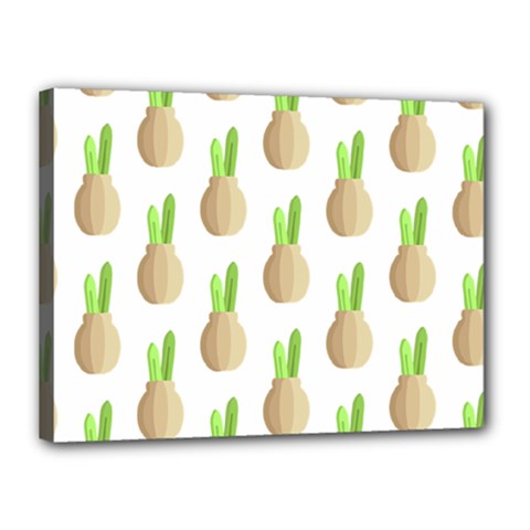 Succulent Vases  Canvas 16  X 12  (stretched) by ConteMonfreyShop