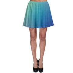 Color Skater Skirt