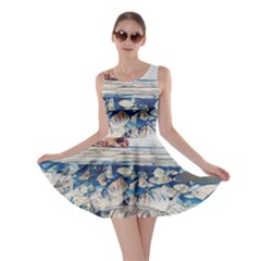 Fishes In Lake Garda Skater Dress