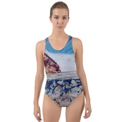 Fishes In Lake Garda Cut-Out Back One Piece Swimsuit