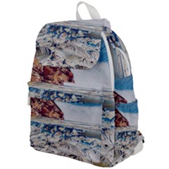 Fishes In Lake Garda Top Flap Backpack