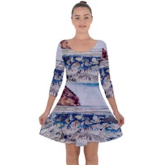 Fishes In Lake Garda Quarter Sleeve Skater Dress