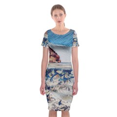 Fishes In Lake Garda Classic Short Sleeve Midi Dress