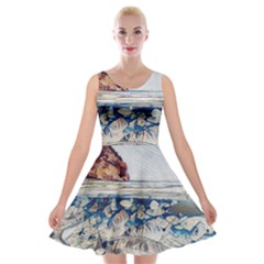 Fishes In Lake Garda Velvet Skater Dress