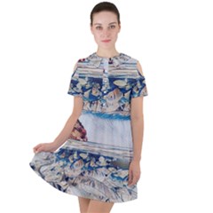 Fishes In Lake Garda Short Sleeve Shoulder Cut Out Dress 