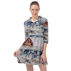 Fishes In Lake Garda Mini Skater Shirt Dress