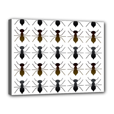 Ant Insect Pattern Cartoon Ants Canvas 16  X 12  (stretched)