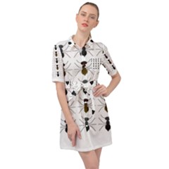 Ant Insect Pattern Cartoon Ants Belted Shirt Dress by Ravend