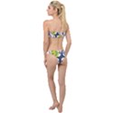 IM Fourth Dimension Colour 73 Classic Bandeau Bikini Set View2