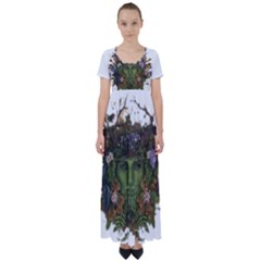 IM Fourth Dimension Colour 84 High Waist Short Sleeve Maxi Dress