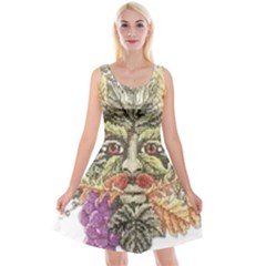 IM Fourth Dimension Colour 85 Reversible Velvet Sleeveless Dress