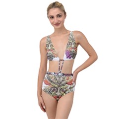 IM Fourth Dimension Colour 85 Tied Up Two Piece Swimsuit