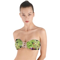 Christmas Candy 2 Twist Bandeau Bikini Top by artworkshop