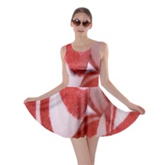 Christmas Candy Skater Dress by artworkshop