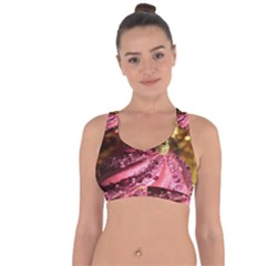 Christmas Decoration 4 Cross String Back Sports Bra by artworkshop