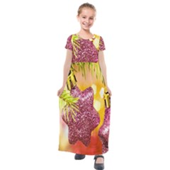 Christmas Decoration 5 Kids  Short Sleeve Maxi Dress by artworkshop