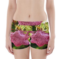 Christmas Decoration 6 Boyleg Bikini Wrap Bottoms by artworkshop