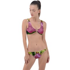 Christmas Decoration 6 Ring Detail Crop Bikini Set by artworkshop